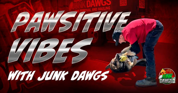 Pawsitive Vibes with Junk Dawgs